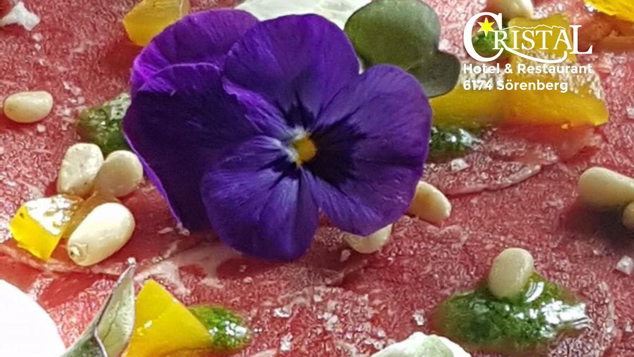 Hotel Cristal Soerenberg Dış mekan fotoğraf